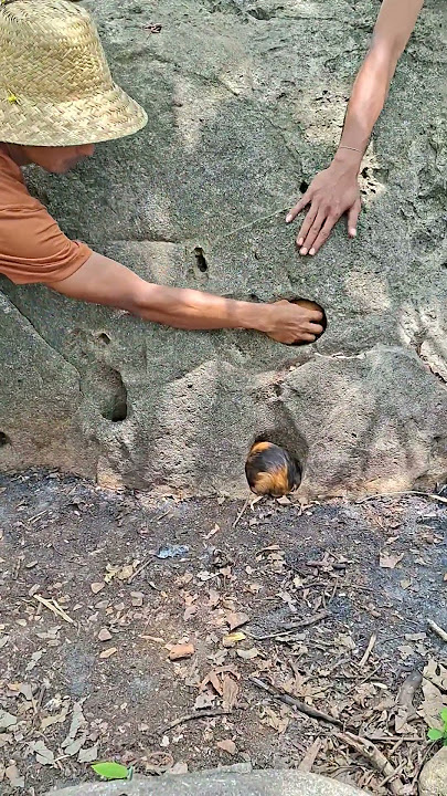 Download lagu Confused about which one to catch #shortvideo