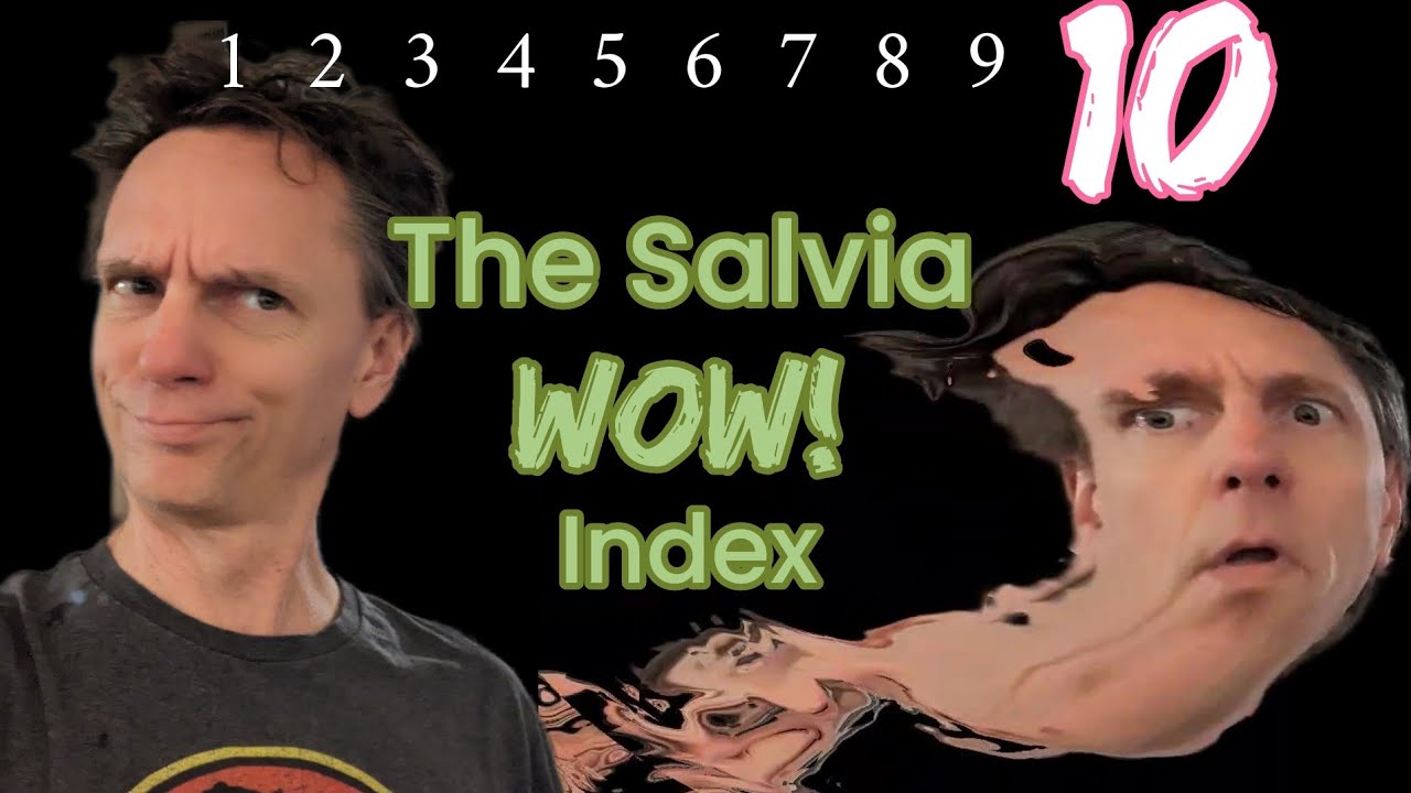 10 уровней опыта Сальвии: от «Что?» до «Что за хрень?»