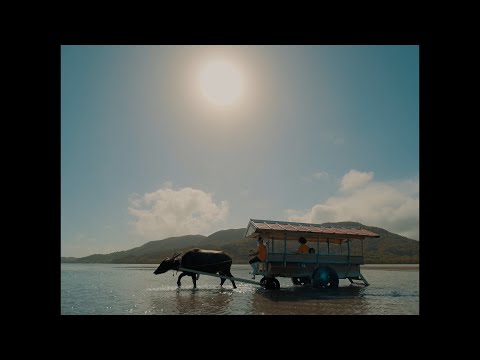 Episode2.　#請福酒造 CM「この時を変えたのは、あなたです」（梅酒） 篇  30秒