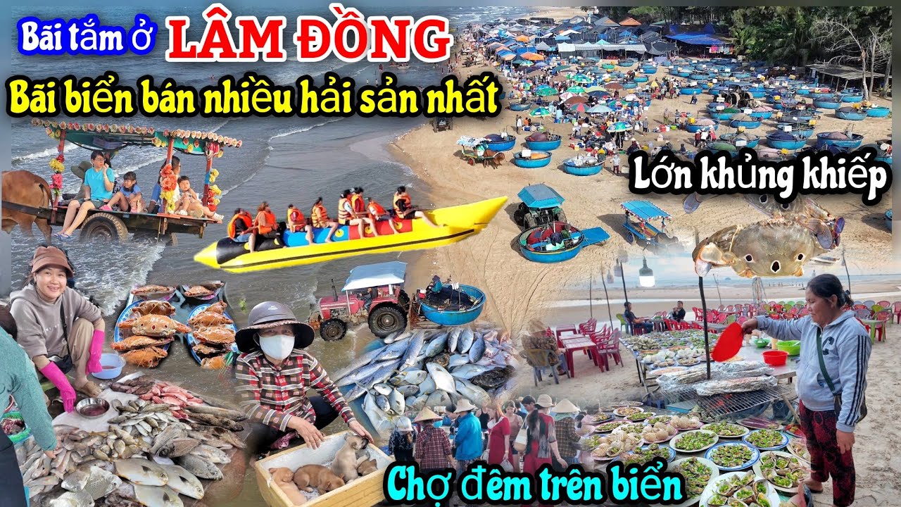 Chưa từng thấy bãi biển nào bán nhiều Hải Sản đến vậy - Chợ LAGI ở LÂM ĐỒNG