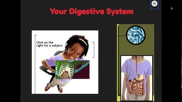 Lesson 5 - The Digestive System - Google Slides
