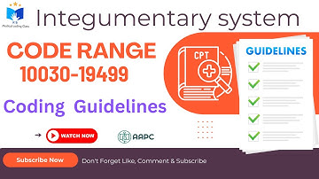 10030–19499 CPT Codes | Integumentary System Guidelines Explained for CPC Exam