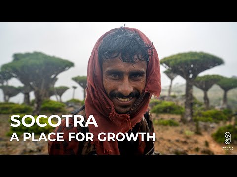 Video: Kā: Ceļot Uz Socotra Salu, Jemenu - Matador Network