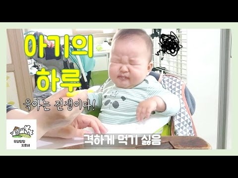 12개월유아식 추천