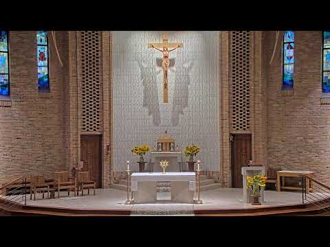 Daily Mass Tuesday - 8:15 AM - 08/11/2026