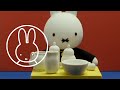 Miffy crea e inforna • Miffy e i suoi amici