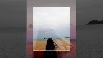 MENGHAPUS JEJAKMU - NOAH (Wild Bear Remix)