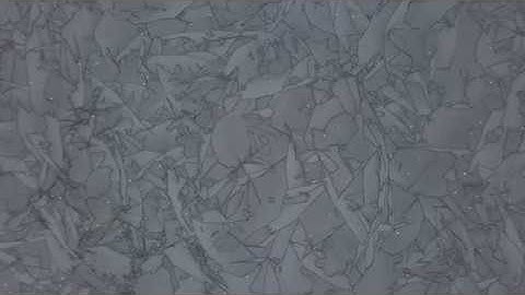 The Coolest Ice Fractals!