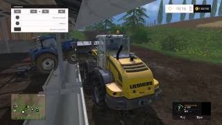 FS 15 glitch