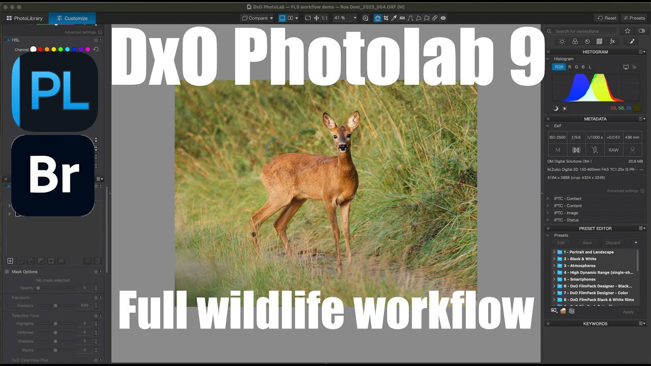 DxO Photolab 9 - Wildlife workflow - YouTube