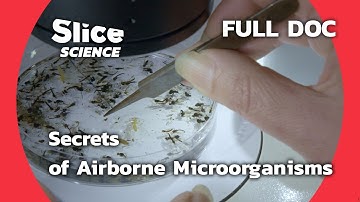 The Hidden World of Airborne Microorganisms | SLICE SCIENCE | FULL DOC