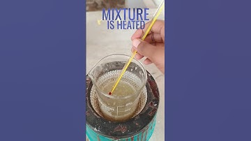 isolation of DNA form onion 🧅 #practical #pharmacognosy #bpharma #bpharmacy #viral #youyubeshort