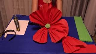картинка: Маки на голову.