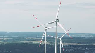 110 Jahre Vse Ag Leo Birnbaum