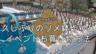 【Vlog590】【多肉植物】久しぶりのリメ鉢作りとイベントお買い物方法【リメイク鉢】【THEBOTANICALSHOW】