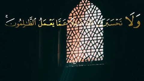 سورة ابراهيم من الآية 40 الى 42