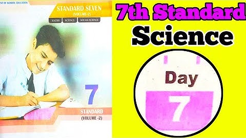 7th Standard Science Day 7 Answers Module