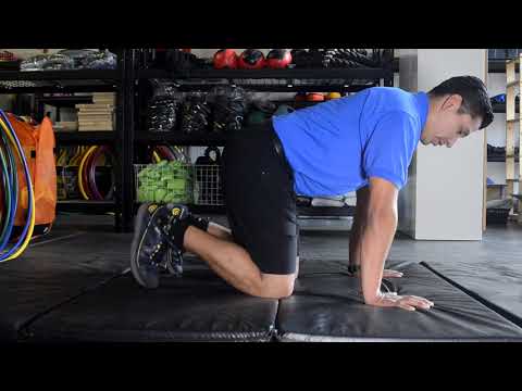 Fit Kids Bear Crawl Video