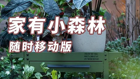承认吧，你也很为室内小森林心动吧 Sharing of plants storage trolley | 园丁小饭 - 天天要闻
