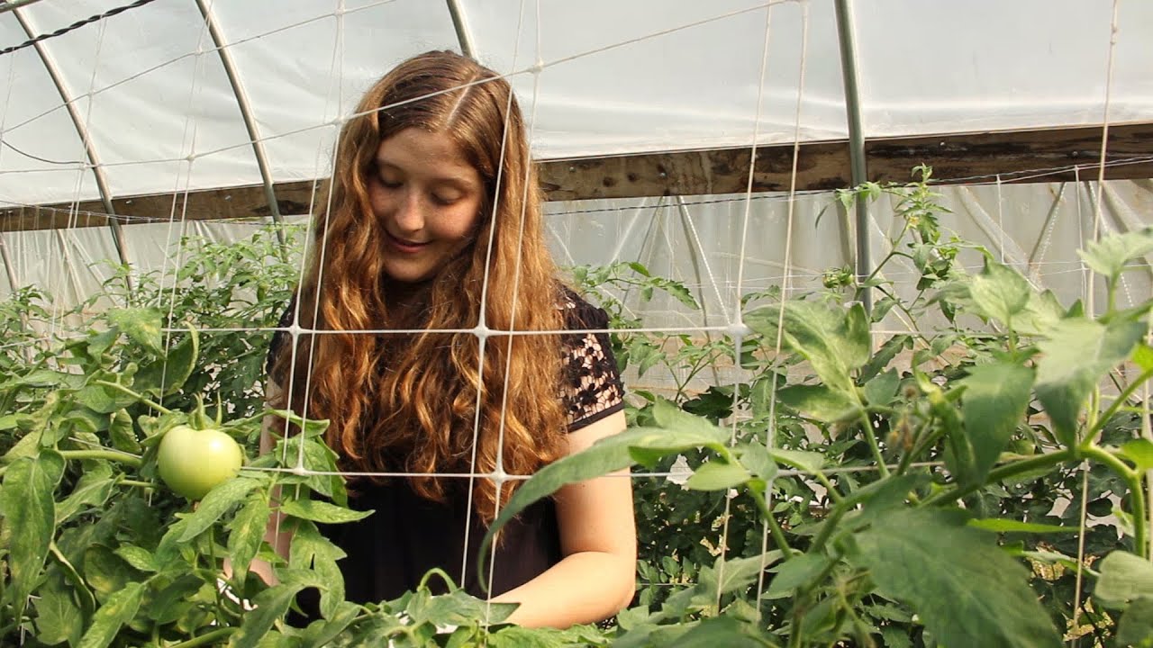 My Plant Path: Graduate Student Lillian McGilp