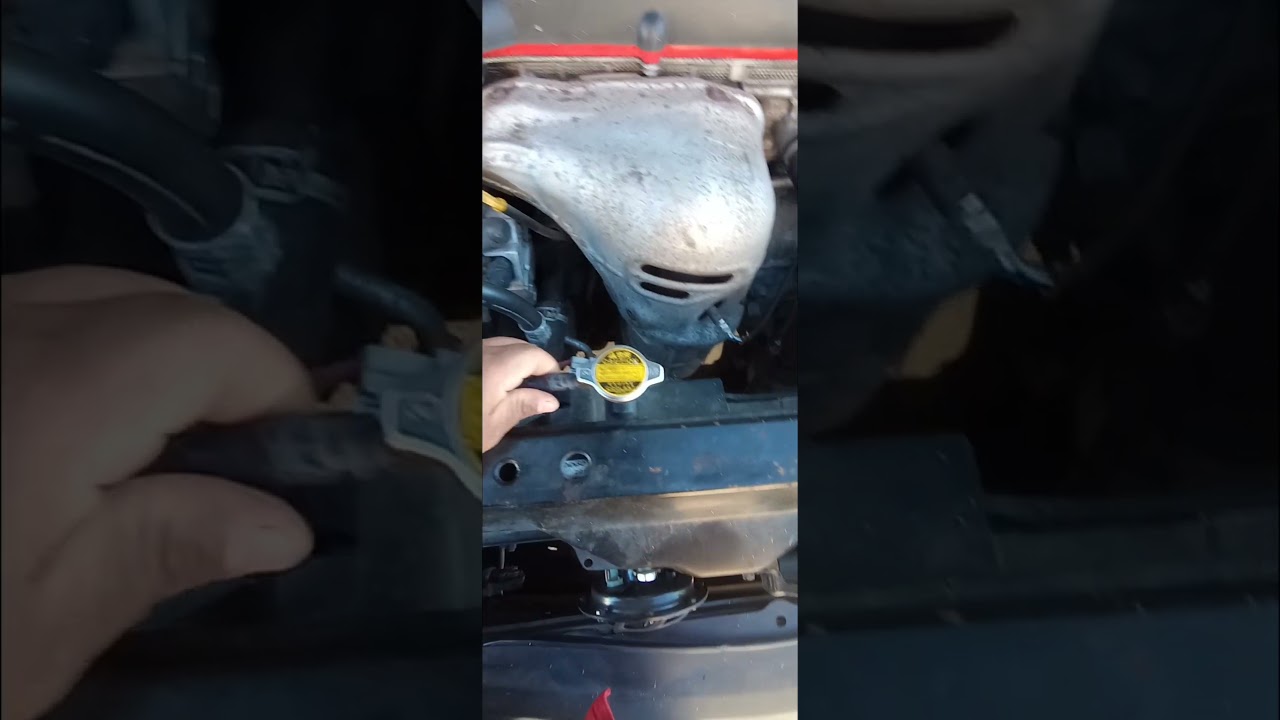 costó $17 en O'Reilly auto parts 