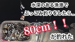 タビカツリチャンネル Youtube