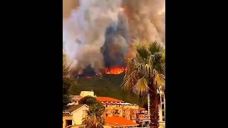 احتراق  جبال و مناطق سياحية في تركيا  سووتاني تركيا?? burning trees in turkey turkeyburningii