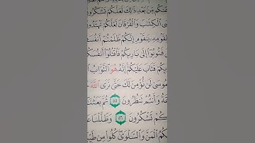 ما معنى "الصاعقه"#سورة #البقرة