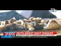 Nuts About Stephen Muriithi S Goat Gonads Delicacy In Maili Tatu Meru