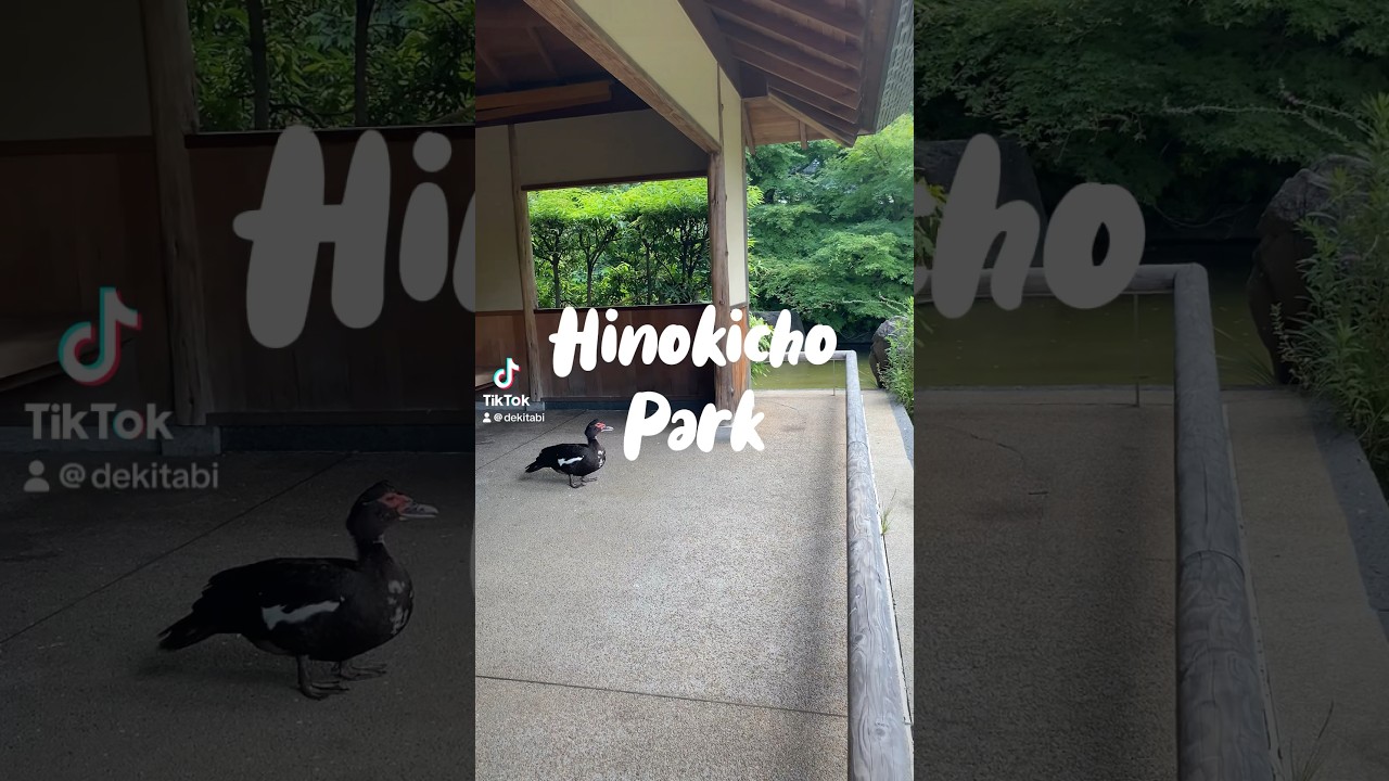 Hinokicho Park 