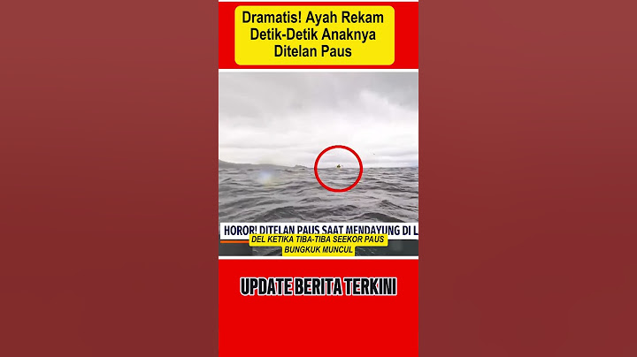 Dramatis! Ayah Rekam Detik-Detik Anaknya Ditelan Paus #short #shorts
