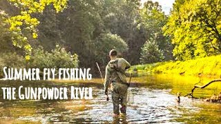 Summer Fly Fishing the Gunpowder River