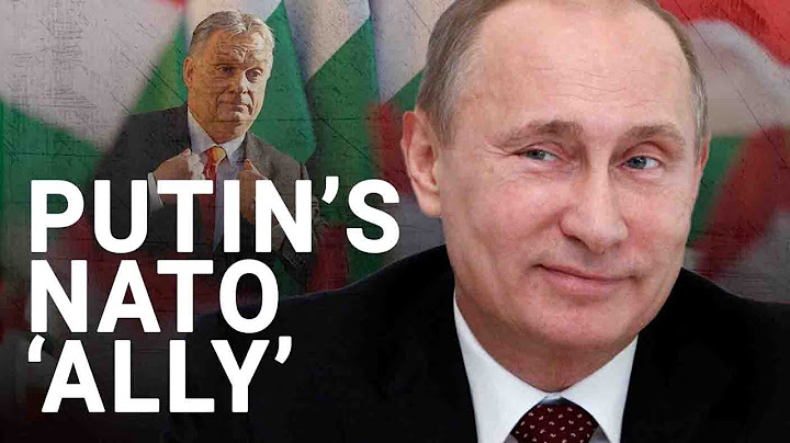 A magyar miniszterelnök „lényegében Putyin munkáját végzi érte” | Michael Binyon