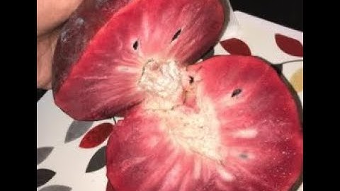 These Are The Best 2 Custard Apples In The World