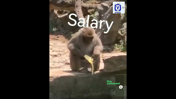 funny before and after salary#funny