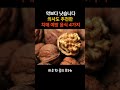 “이 음식들이 약보다 낫습니다” – 의사도 추천한 치매 예방 식단