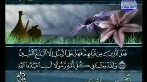 سورة النحل 16- 114 سعد الغامدي - قراءة مرتلة