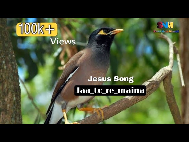 Jaa_to_re_maina /( जा तो रे मैना ) || jesus Song ||