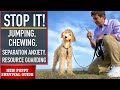 NEW PUPPY SURVIVAL GUIDE: How to EASILY STOP These 4 Puppy Problems NOW! (Ep 6)