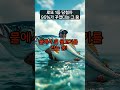 로또 1등 당첨자 95 가 꾼 꿈이 있다고 로또 1등 당첨자 95 가 꾼 꿈이 있다고