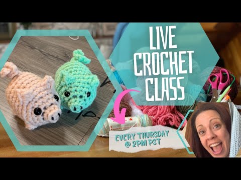 LIVE Crochet Class