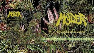 MOLDER - ENGROSSED IN DECAY