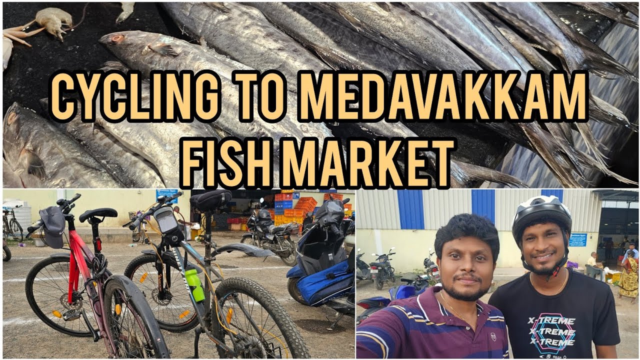 Cycling to PSR fish market Medavakkam South Chennai's largest fish market Exotic fishes