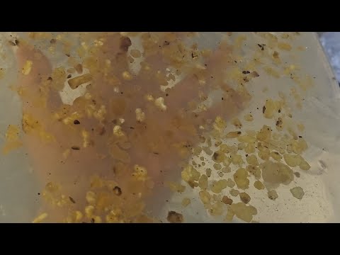 كيف انشاء صابون لبان ذكر طبيعي