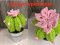 МК: КАКТУС + ЦВЕТОК КРЮЧКОМ.  CROCHET CACTUS