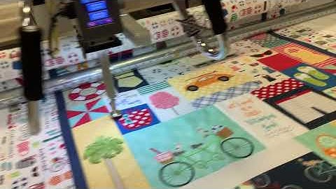 Using Mask to Quilt around Embelishments- INNOVA Autopilot Mach 3 tool