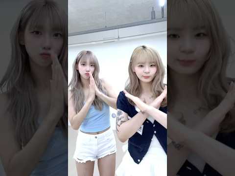 요즘 젤 핫한 챌린지🔥 #하지마 #시스타쑤 #sisterssu #challenge #dance #trending #챌린지 #댄스 #댄스챌린지 #fyp
