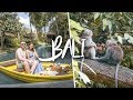 BALI | LIVING WITH MONKEYS