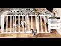 COMOMY 120" Free Standing Dog Gate with Door, Foldable Dog Fence for Indoor & Outdoor