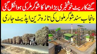 Big Important News On Sugarcane Rate 2026 شوگر ملوں پر رش کتنا ٹوٹ گیا ریٹ کتنا بڑھا ہے اپڈیٹ جاری